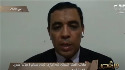الملحق المصري بالسعودية: مكاتب التمثيل العمالى ترعى مصالح 5 ملايين مواطن بالخارج