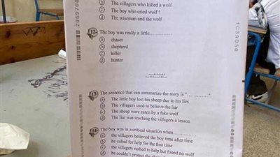 سجن وغرامة.. عقوبات الطالبة المتسببة في تسريب امتحان الإنجليزي