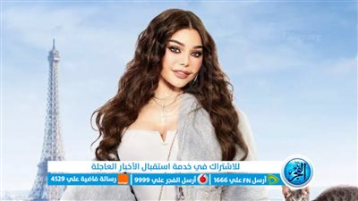 بعد تصدرها الترند.. تعرف على أبرز الأعمال الفنية للفنانة هيفاء وهبي