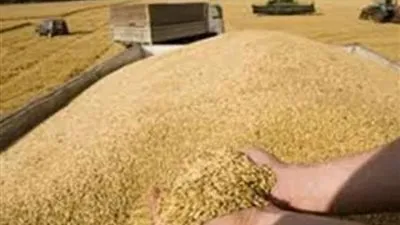 الاتحاد الأوروبي يعتمد زيادة تصدير الحبوب الأوكرانية برا