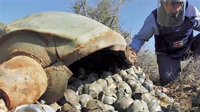 أمريكا توافق على إرسالها لأوكرانيا.. كل ما تريد معرفته عن الذخائر العنقودية