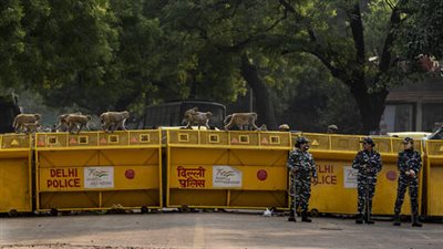 استعدادًا لقمّة العشرين.. شرطة نيودلهي تجري تدريبات واسعة