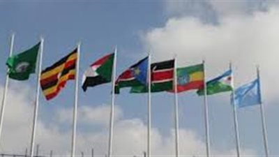 بشأن الأزمة السودانية.. ماذا تعرف عن قمة الإيغاد؟