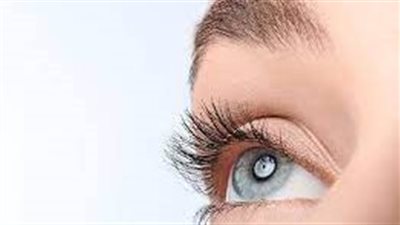 خمسة أطعمة تقوي النظر.. تعرف عليها