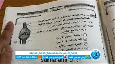 لطلاب ثالثة ثانوي 2024.. مراجعة ليلة امتحان في مادة الأحياء | منصة امتحانات مصر - egyxam