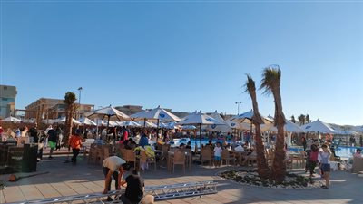 بشاشات عملاقة ومئات المقاعد.. نادي جزيرة الورد يستعد لمباراة الأهلي والزمالك