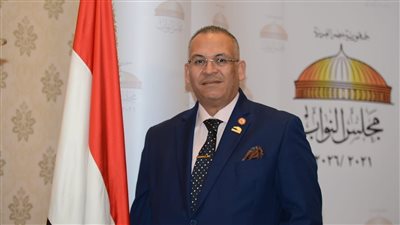 برلماني: مصر تعمل جاهدةً لحل مشاكل قارة إفريقيا والأزمات التي تواجهها