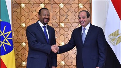 دبلوماسي سابق عن البيان المصري الإثيوبي: 