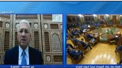 دبلوماسي يطالب بإنشاء 