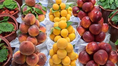 استقرار أسعار الخضروات والفاكهة اليوم السبت 15 يوليو 2023 بالاسواق 