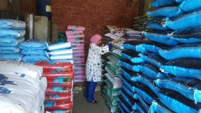 محافظ الدقهلية: احالة 119محضرًا بيع دقيق مدعم وتجميع بطاقات تموينية ونقص وزن الرغيف للنيابة العامة