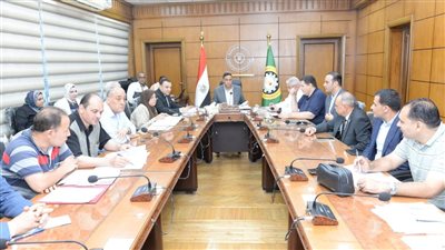 محافظ الدقهلية يناقش أعمال ترفيق 108 أفدنة بالمنطقة الصناعية بجمصة (تفاصيل)