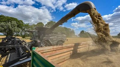 الأمم المتحدة: روسيا تتعمد الهجوم على موانئ الحبوب الأوكرانية (فيديو)