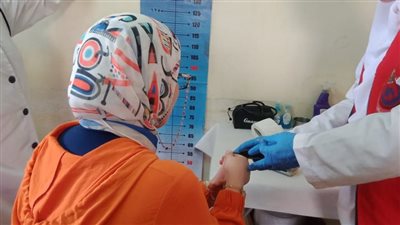 حملة 100 يوم صحة.. الكشف على 228 ألفا و559 مواطنا خلال 20 يوما في الدقهلية