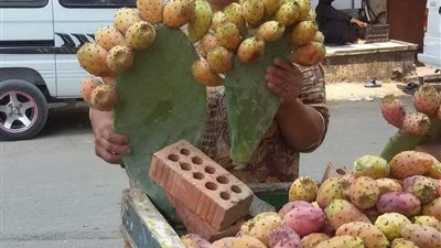 مصرع أشهر بائعة تين ونجلها في حادث تصادم ببنها