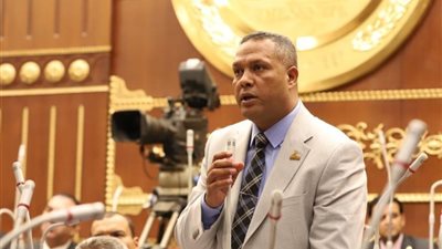 برلماني: الجيش المصري كان ومازال وسيظل دائمًا سند الأمة والحامي لأرض الوطن