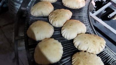 تحرير 215 محضرا مخالفات تموينية في 13 مركز بالدقهلية