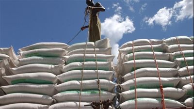 روسيا تحظر تصدير الأرز مؤقتا حتى نهاية 2023