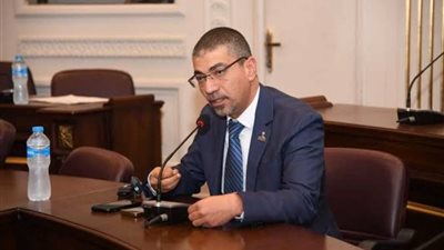 برلماني: استضافة مصر لاجتماع الفصائل الفلسطينية يؤكد دورها المحوري لدعم القضية