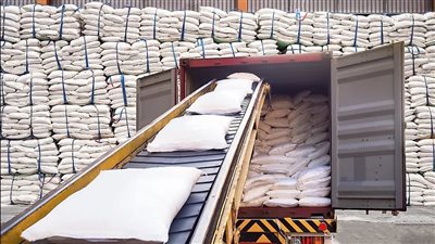 السلع التموينية تشتري 150 ألف طن من السكر البرازيلي الخام