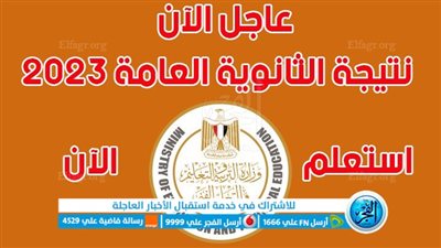 خطوات سهلة | في ثانية واحدة الآن نتيجة الثانوية العامة 2023 