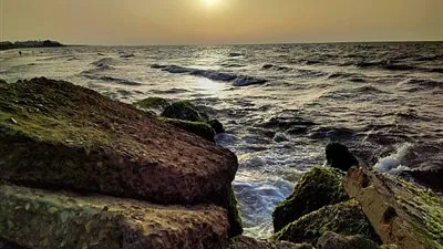 الاستعداد لإطلاق مهرجان بورسعيد الدولي الثاني لمراقبة وتصوير الطيور