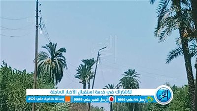 إضاءة أعمدة الكهرباء نهارا بقرى العياط في الجيزة (صور)