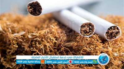 عاجل - مباشر live.. أسعار السجائر اليوم no smoking بعد قرارات البنك المركزي برفع الفائدة محافظة المنيا