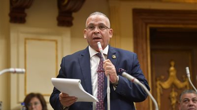 برلماني: المواطن المصري أولوية قصوى للدولة.. وملف الصحة شهد تطورا كبيرا