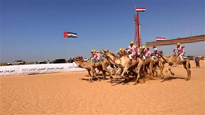 بمشاركة 900 متسابق.. تفاصيل انطلاق مهرجان العلمين الثالث للهجن (فيديو)