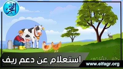 استعلام عن دعم ريف وشروط الحصول على الدعم والفئات المستحقة