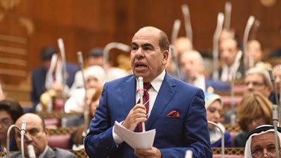 الهضيبي: مد وقف العمل بضريبة الأطيان خطوة مهمة لدعم الفلاح وتخفيف الأعباء عنه