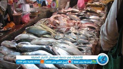 أسعار الأسماك والجمبري اليوم 14-11-2023 بأسواق العبور لدي المستهلك.. البوري بـ 80 جنيها