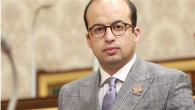 نائب التنسيقية: الاهتمام بالشباب ركيزة أساسية في خطة الدولة واستراتيجيتها