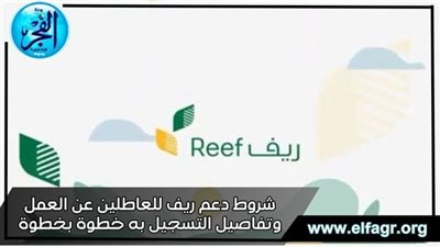 شروط دعم ريف للعاطلين عن العمل وتفاصيل التسجيل به خطوة بخطوة