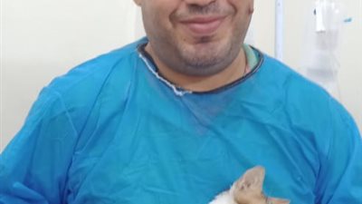 إنقاذ قطة شوارع 