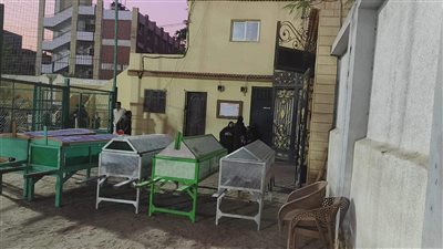  في انتظار الجثامين.. 5 نعوش لشباب ضحايا حادث من عائلة واحدة بالدقهلية