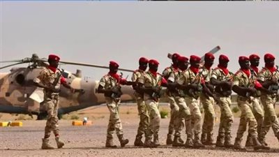 خبير يؤكد: اتفاقيات سرية أمريكية مع السلطات في النيجر (فيديو)