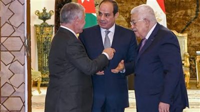 برلمانية حماة وطن: قمة العلمين تعكس الموقف المصري الثابت تجاه القضية الفلسطينية