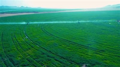 مركز تغير المناخ يكشف حقيقة تأثر الزراعات نتيجة الموجة الحارة الحالية