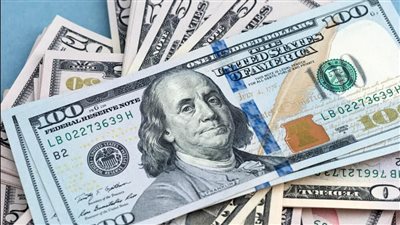 سعر الأخضر الآن.. توتر في السوق السوداء وسعر الدولار اليوم 16 أغسطس 