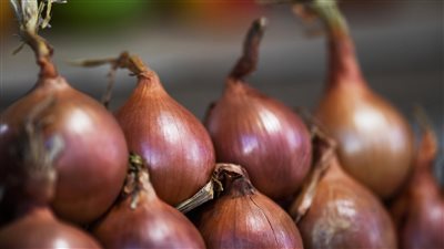 تصريح ناري من 