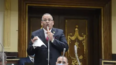 تشريعية النواب: قمة العلمين تؤكد الدور الريادي لمصر تجاه القضية الفلسطينية