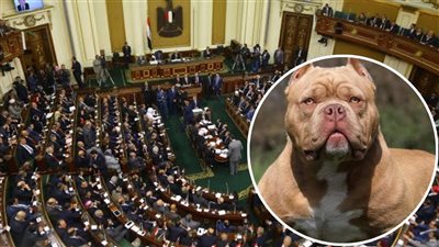 في هذه الحالات.. إلزام حائز الحيوانات الخطرة بإخطار السلطة المختصة على الفور 