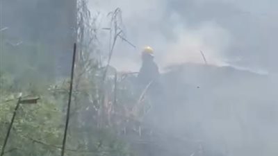 النار حبستهم.. السيطرة على حريق أشجار بمنطقة الديبة في بورسعيد