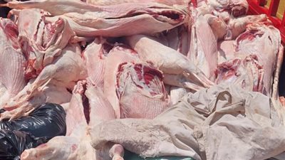 ضبط 4670 كيلو لحوم فاسدة ومذبوحة خارج المجازر بالجيزة (صور)