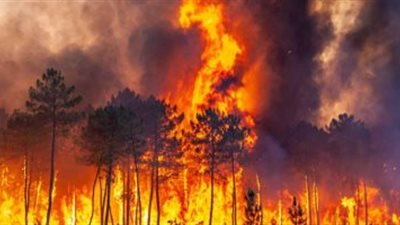 العالم اليوم.. تشكيل عسكري روسي جديد.. وإعلان نتيجة الدبلومات الفنية الدور الثاني