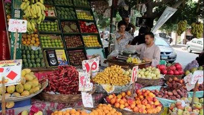 أسعار الخضروات اليوم الأحد 10-9-2023 في أسواق الدقهلية