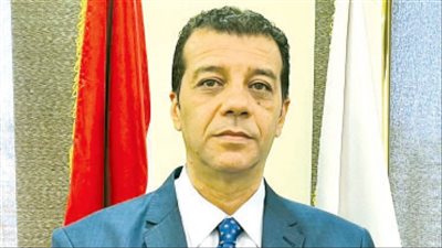 هل سيكون هناك تصويت إلكتروني في الانتخابات الرئاسية ؟.. 