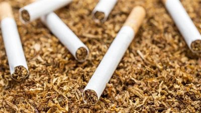 قانون محمد علي باشا ومدة النهار.. لماذا لا يٌزرع التبغ في مصر؟